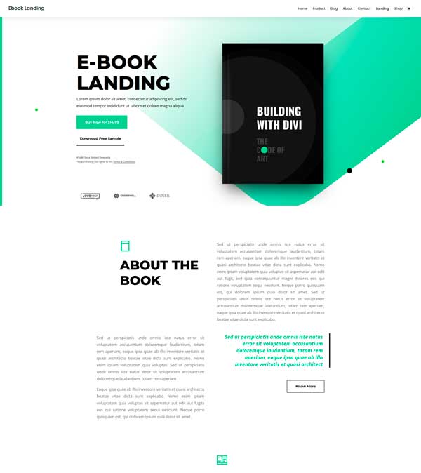 eBook Landing website design preview